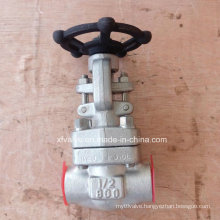 API602 Forged Stainless Steel F316L Thread End NPT Gate Valve